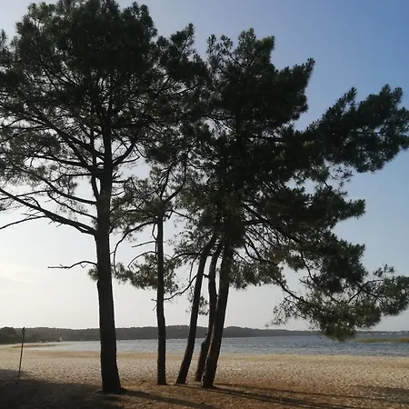 Standing 4 Personnes Avec Jardin *